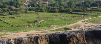 Прикрепленное изображение: DJI_0094_w.jpg